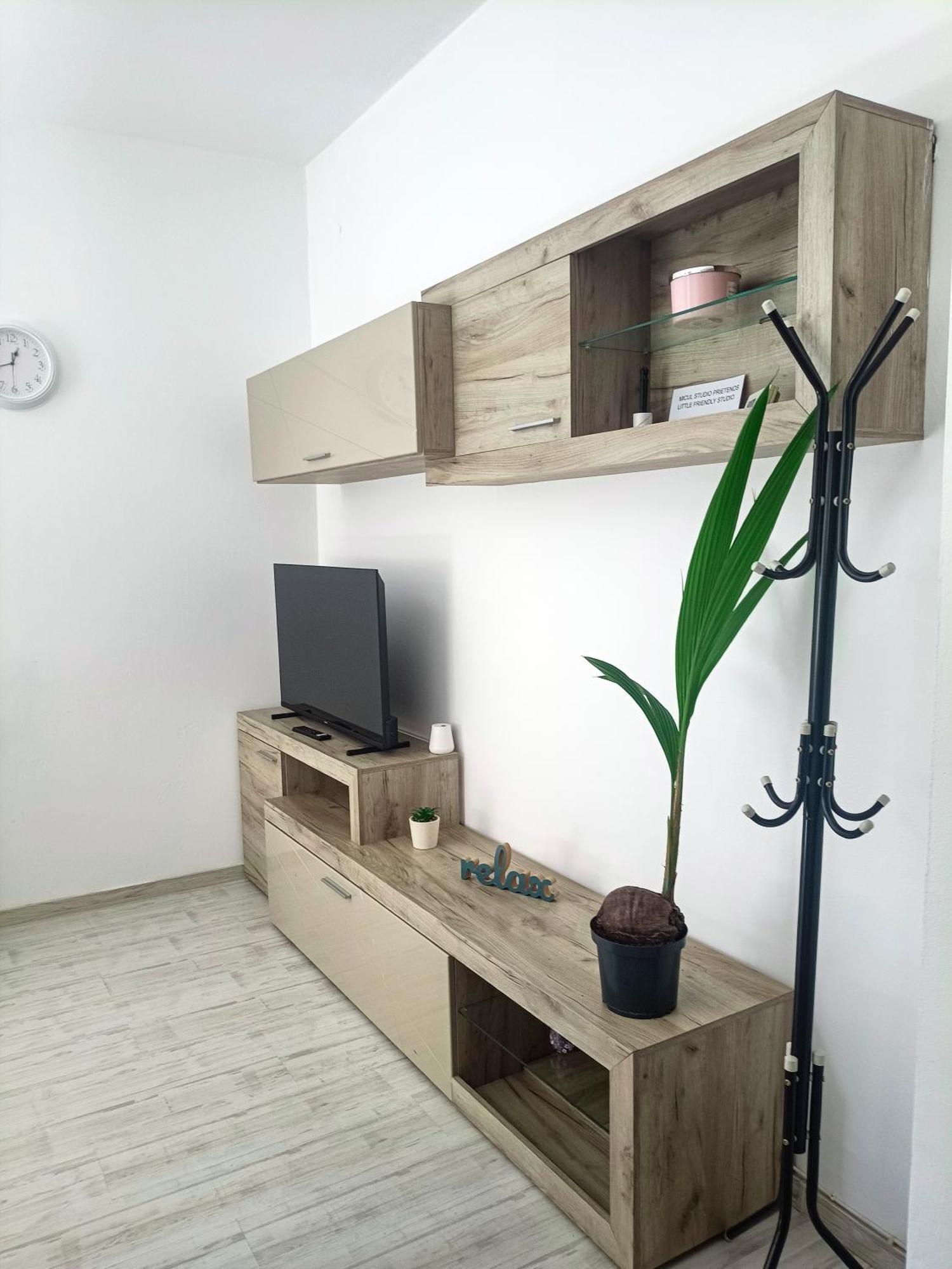 Friendly Little Studio Braşov Exterior foto